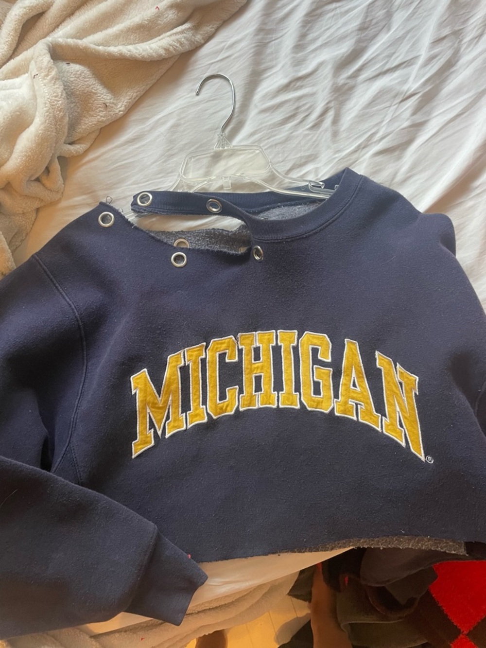 Vintage university of michigan LF cropped crewneck